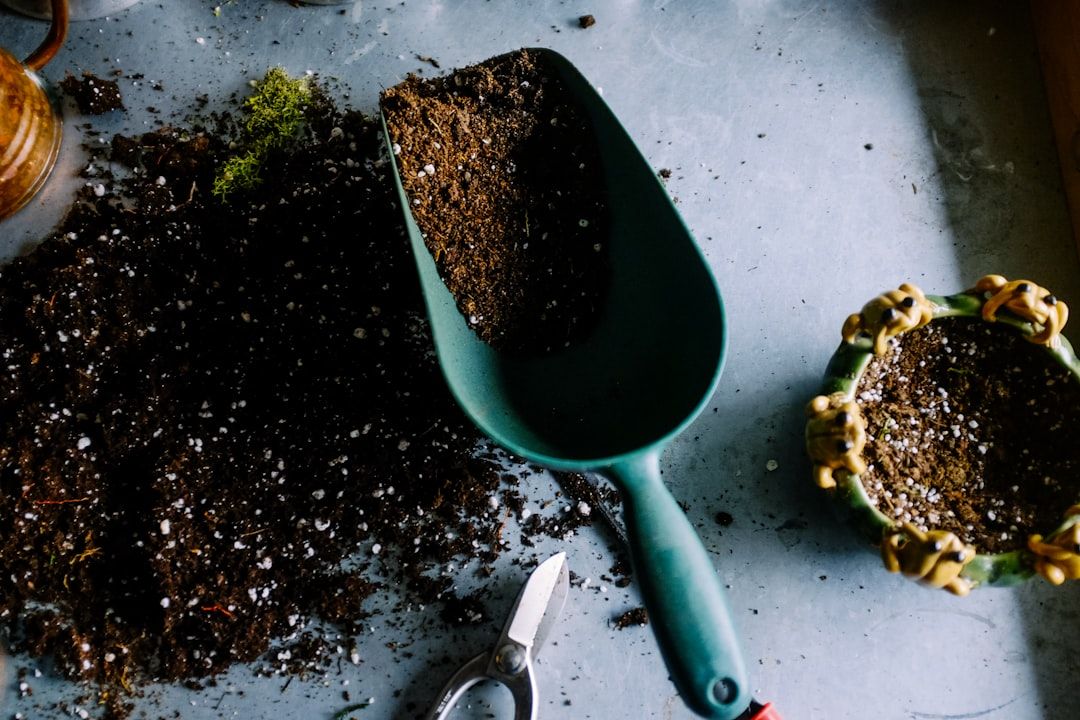 Making Horticultural Sand: A Simple Guide for Gardeners