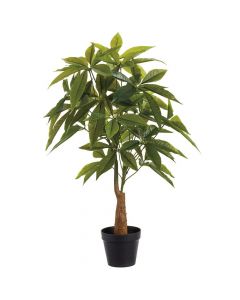 Search results for: 'ani plant plant be'