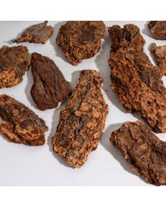 Large Bark Chips