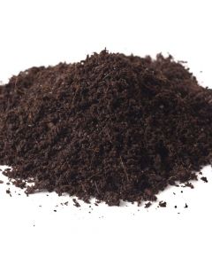 Peat Moss