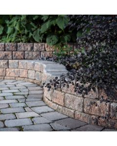 StackStone Standard